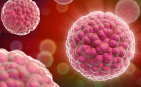 simptomi i liječenje humanog papiloma virusa