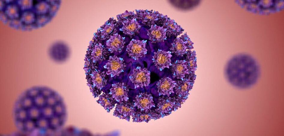 kako izgleda ljudski papiloma virus